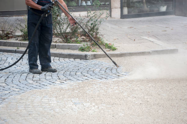 Trusted Ricardo, TX Pressure Washing Services Experts